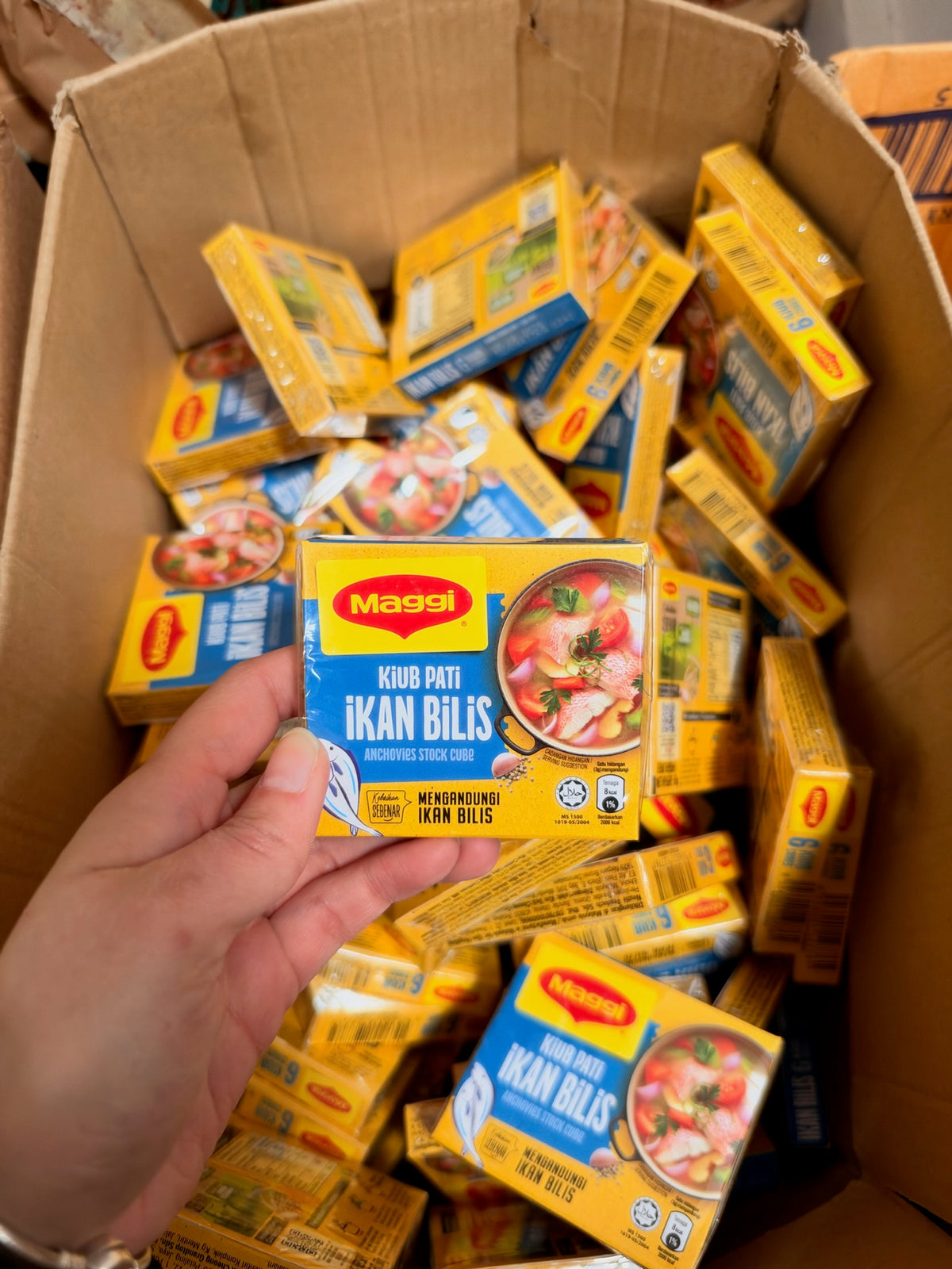 Maggi Anchovies Stock Cube Kuib Pati