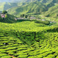 Cameron Highland BOH Tea Leaves