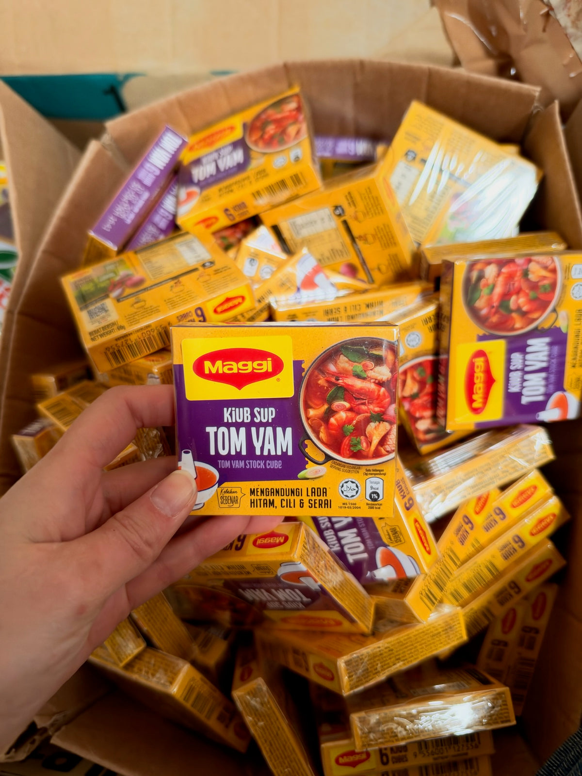 Maggi Tom Yam Stock Cube